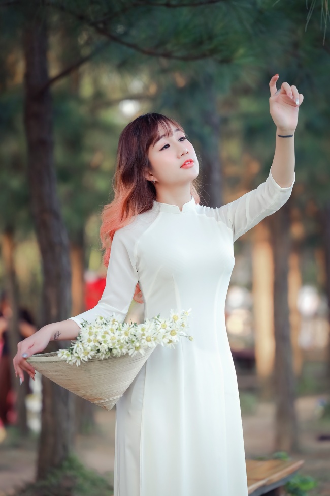 萝卜11